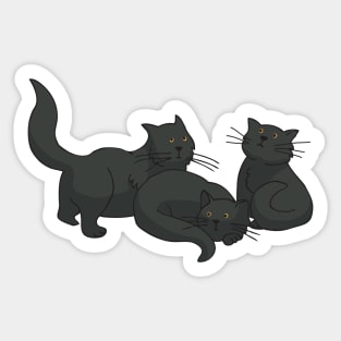 Black Cats Sticker